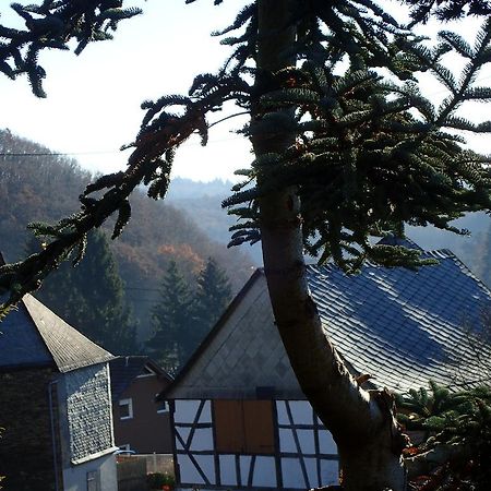 Vakantiehuis Hunsrueck Leisel Экстерьер фото